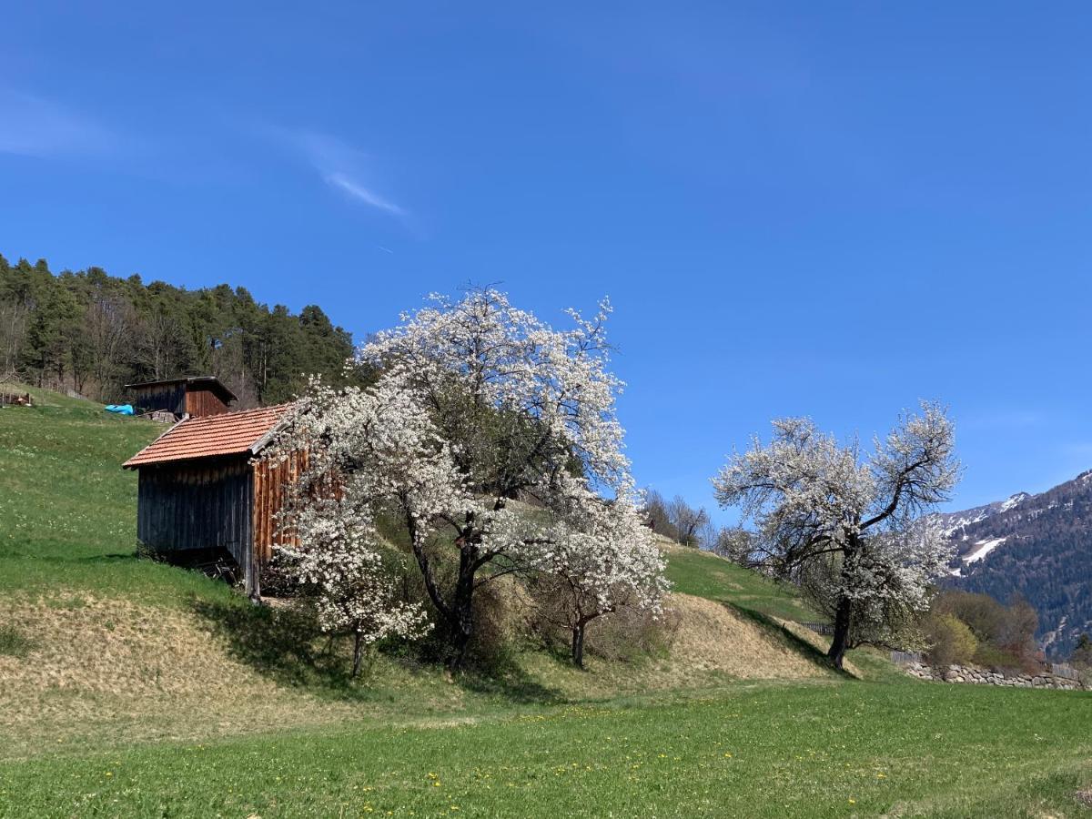 Traumapartment Murmeltier Tirol Grins Dış mekan fotoğraf
