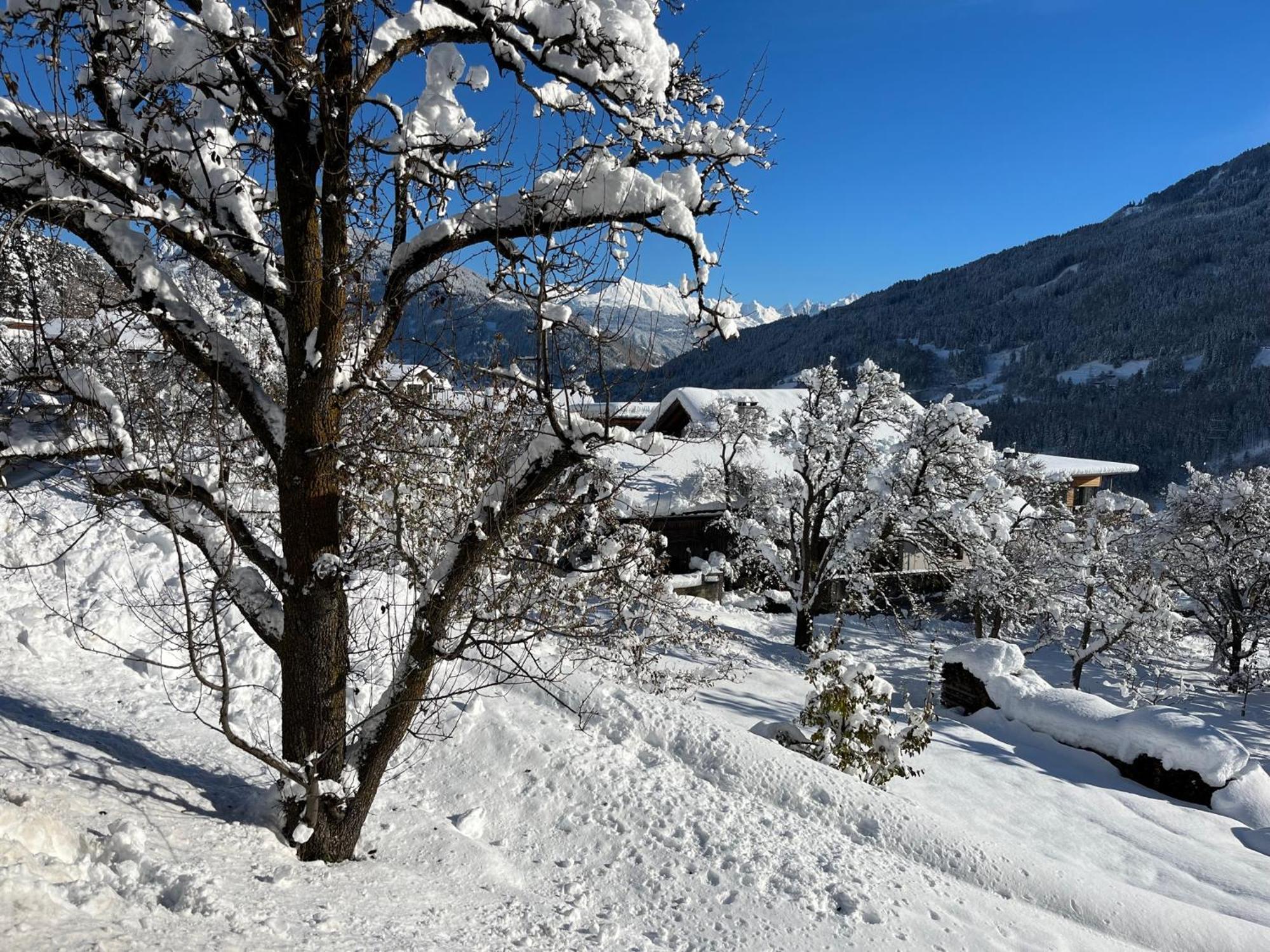 Traumapartment Murmeltier Tirol Grins Dış mekan fotoğraf